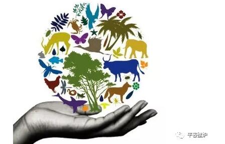 1528075753292688a5Fd.jpg 壁爐燃木|再論使用燃木的益處.jpg