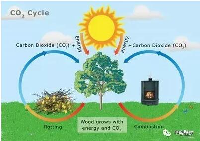 1528076307139759NMV8.jpg 壁爐燃木|再論使用燃木的益處.jpg