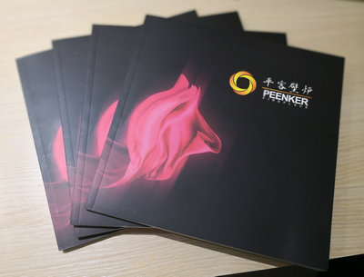 15325822558659275dN9.jpg 平客壁爐參加2018國際綠色建筑建材博覽會圓滿結(jié)束0.jpg