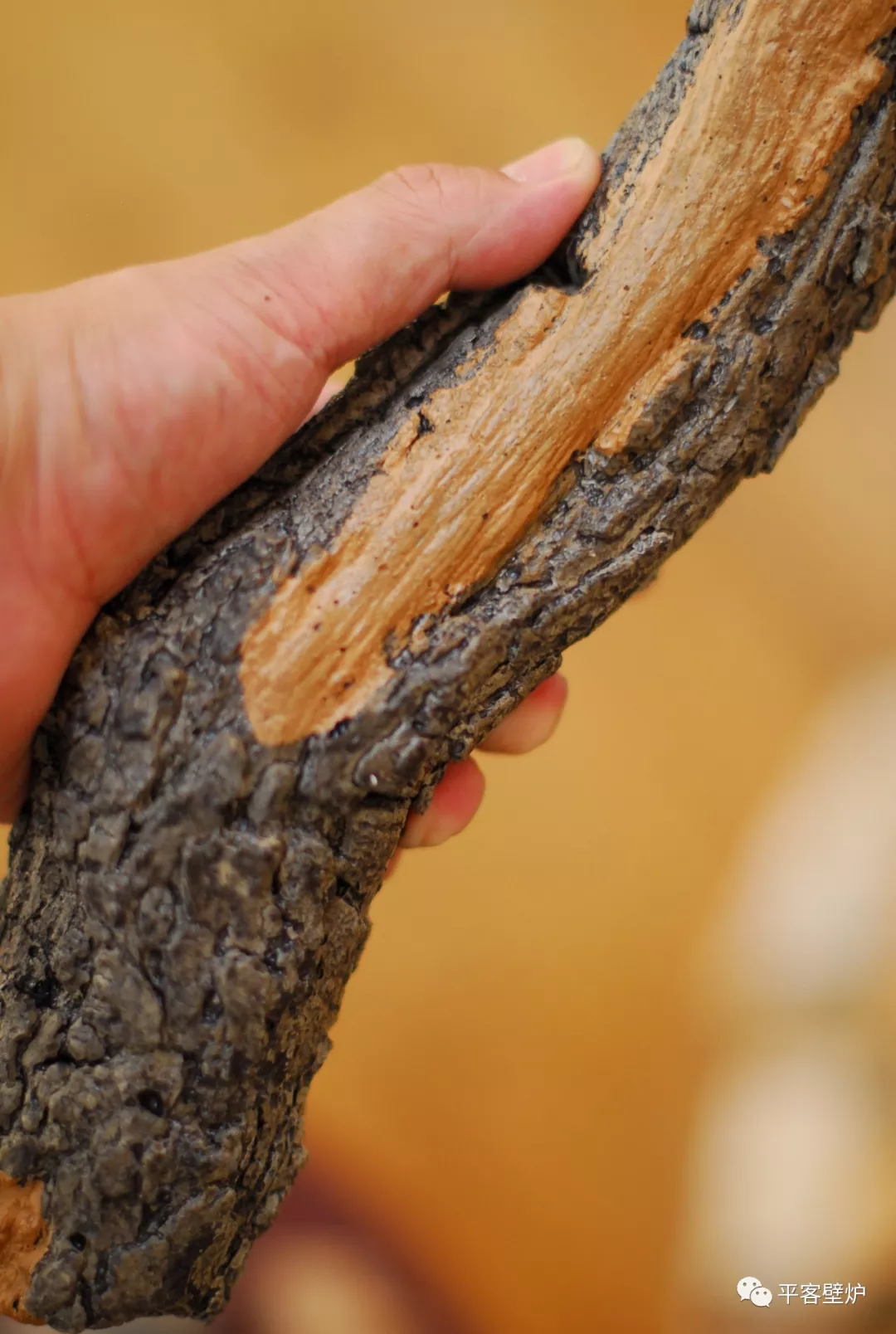 平客壁爐臻品 | 菲雅碗——庭院之眼.jpg