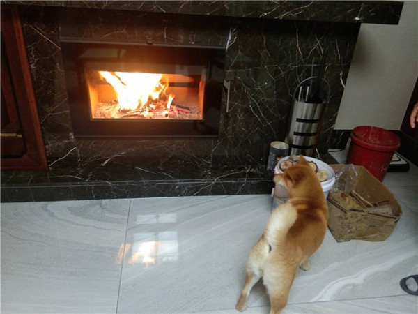 大連萬科溪之谷柳溪園morso S80-90壁爐安裝.jpg