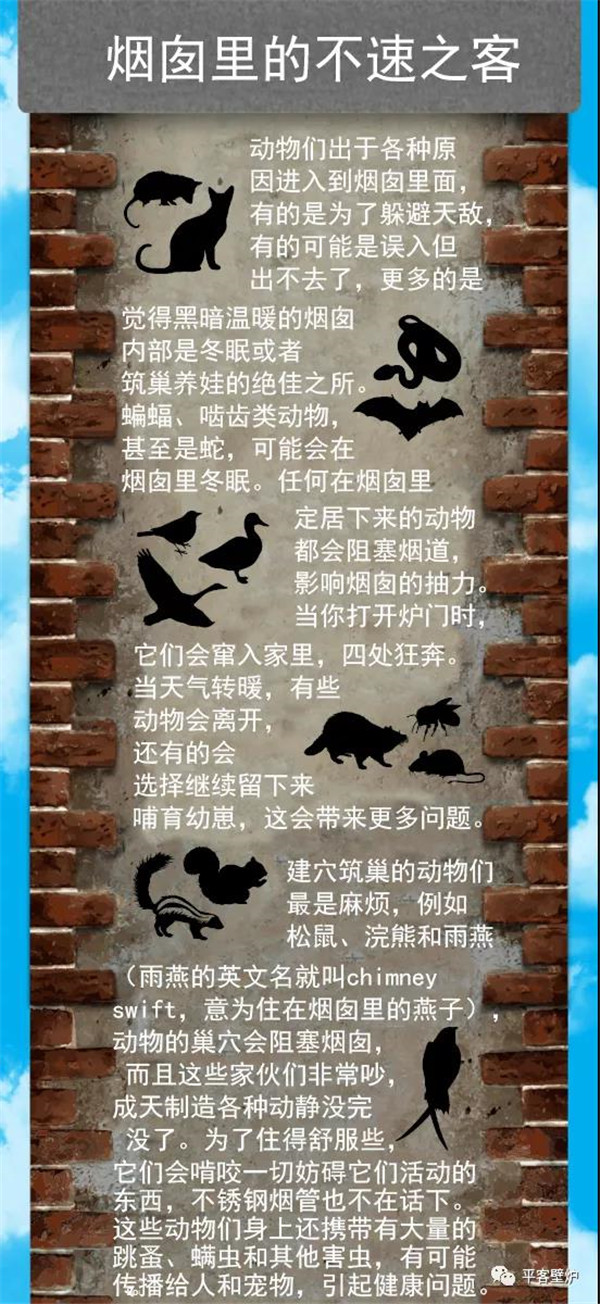 壁爐煙囪里的不速之客.jpg 壁爐煙囪里的不速之客.jpg