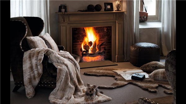 平客壁爐分析開放式與封閉式壁爐的區(qū)別.jpg 平客壁爐分析開放式與封閉式壁爐的區(qū)別.jpg