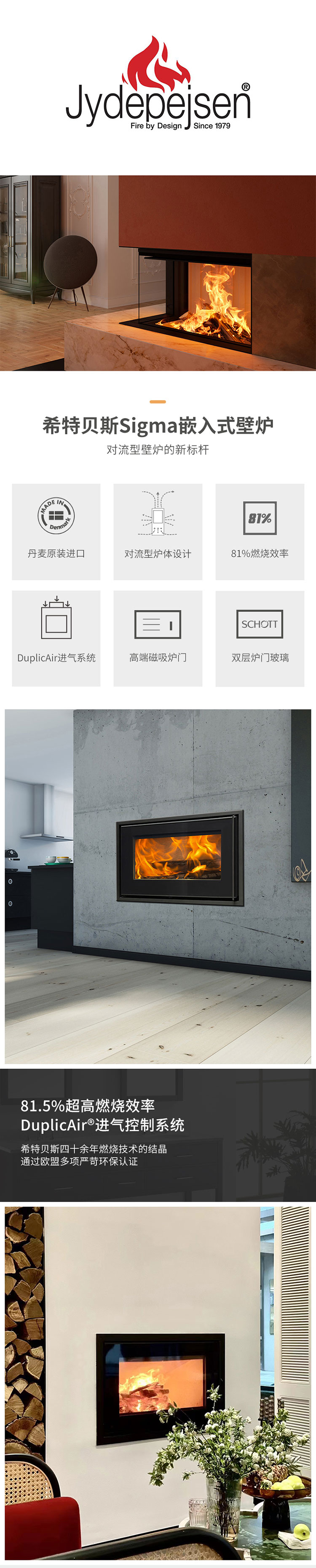 丹麥Jydepejsen嵌入式壁爐Sigma.jpg 丹麥Jydepejsen嵌入式壁爐Sigma.jpg