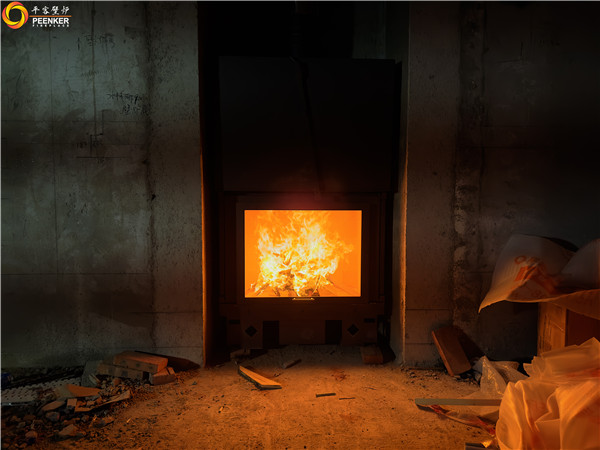 平客壁爐上海東郊花園別墅嵌入式壁爐法國TOTEM F901安裝.jpg