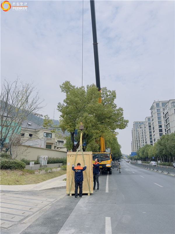 諸暨綠城玫瑰園別墅法國(guó)TOTEM F1100壁爐安裝.jpg